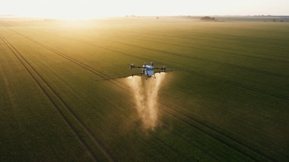 Il DJI Agras T100 in volo basso sopra la coltura mentre distribuisce il trattamento