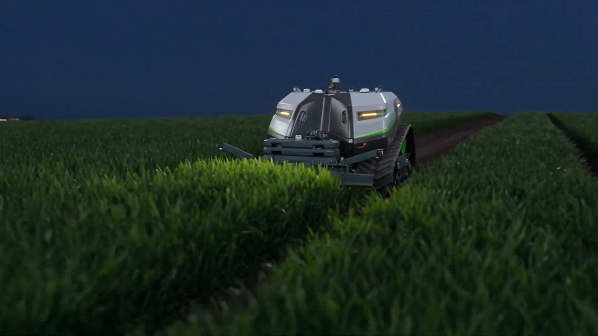 Il robot cingolato fermo fra i filari, con la fascia verde sul fianco